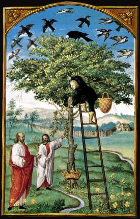 L'albero dei filosofi nelle tavole dello "Splendor Solis". La stella dei Tarocchi
